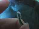 A close-up of the solder joint