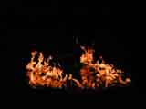 flames dance