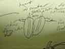 Closeup of how the heart will work